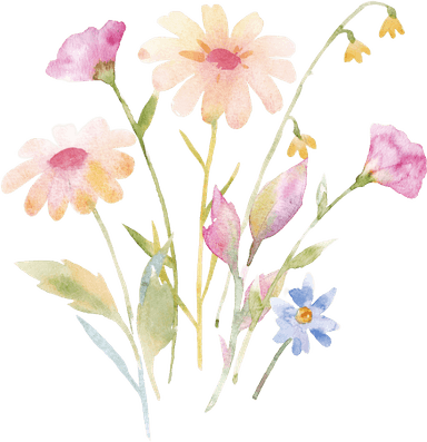 Watercolor pastel daisies