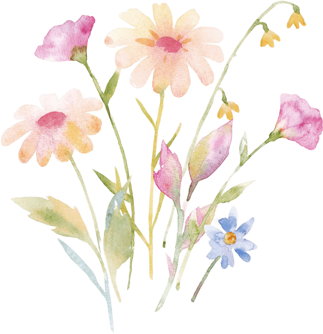 Watercolor pastel daisies