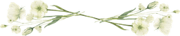 Floral divider
