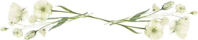 Floral divider